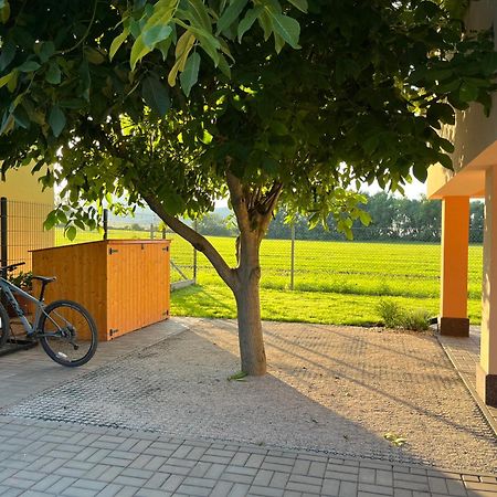 Villa Rekreacni Dum U Jezer, Milovice 6 Esterno foto